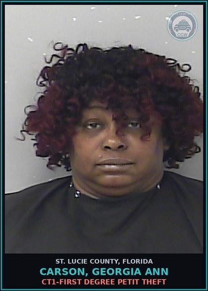 CCW arrest card for Carson, Georgia Ann in St. Lucie County: Ct1-first Degree Petit Theft