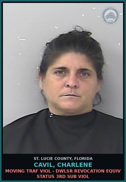 CCW arrest card for Cavil, Charlene in St. Lucie County: Moving Traf Viol - Dwlsr Revocation Equiv Status 3rd Sub Viol