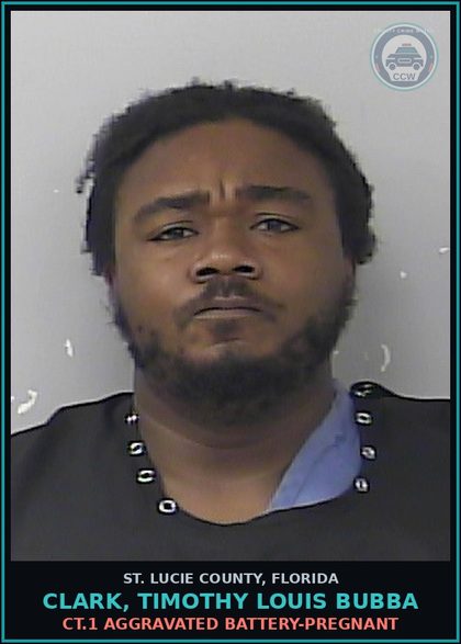 CCW arrest card for Clark, Timothy Louis Bubba in St. Lucie County: Ct.1 Aggravated Battery-pregnant