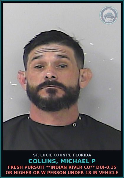 CCW arrest card for Collins, Michael P in St. Lucie County: Fresh Pursuit **indian River Co** Dui-0.15 Or Higher Or W Person Under 18 In Vehicle
