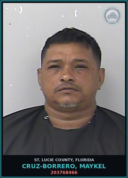 CCW arrest card for Cruz-borrero, Maykel in St. Lucie County: 203768466