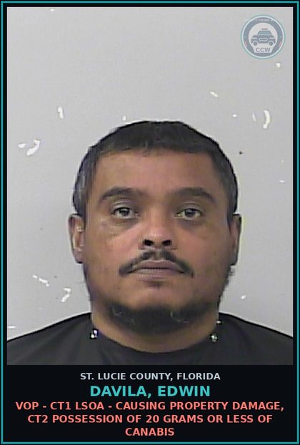 CCW arrest card for Davila, Edwin in St. Lucie County: Vop - Ct1 Lsoa - Causing Property Damage, Ct2 Possession Of 20 Grams Or Less Of Canabis