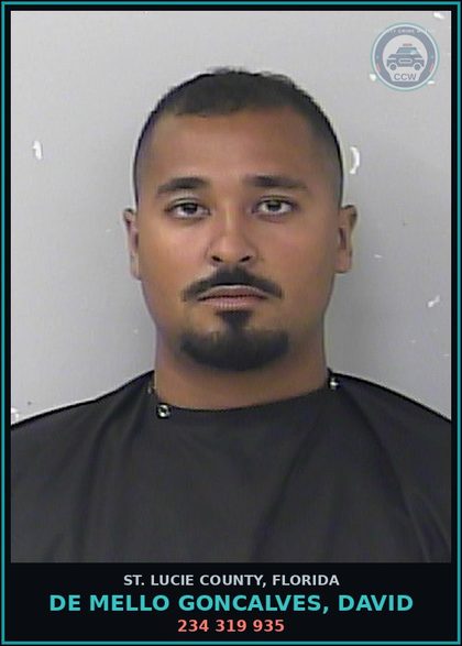 CCW arrest card for De Mello Goncalves, David in St. Lucie County: 234 319 935