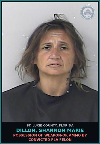 CCW arrest card for Dillon, Shannon Marie in St. Lucie County: Larc-grand Theft Leo Equip Authorized Emergency Veh