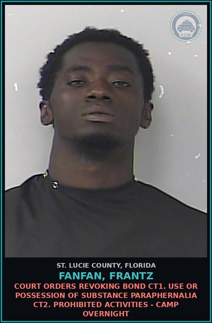 CCW arrest card for Fanfan, Frantz in St. Lucie County: Larceny-other Theft