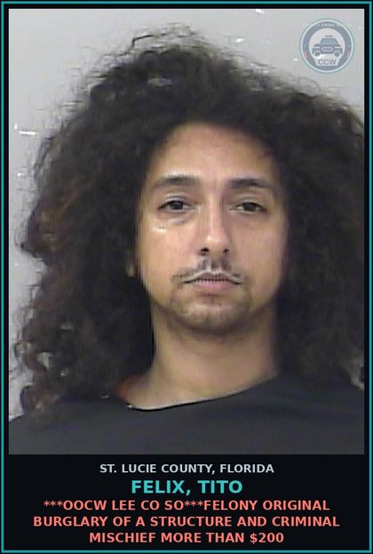 CCW arrest card for Felix, Tito in St. Lucie County: Ct1-possession Of chld Pornography