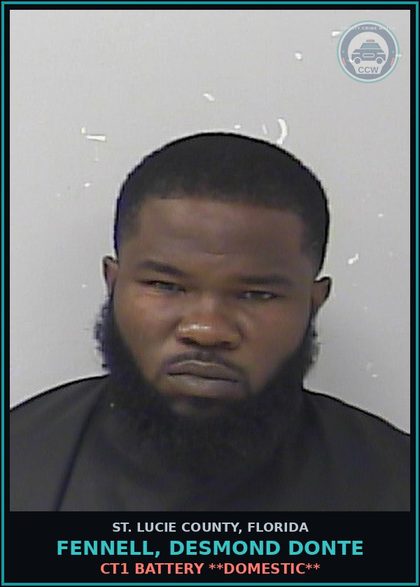 CCW arrest card for Fennell, Desmond Donte in St. Lucie County: Resist Officer - Interfere W Leo Wo Violence