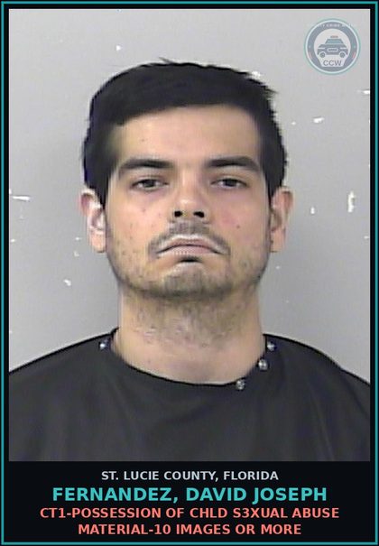 CCW arrest card for Fernandez, David Joseph in St. Lucie County: Ct1-possession Of chld s3xual Abuse Material-10 Images Or More