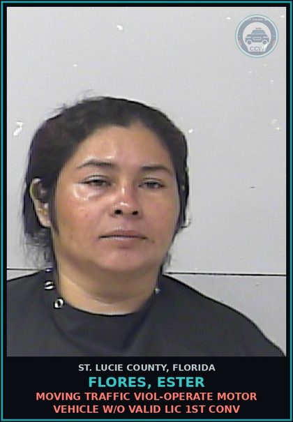 CCW arrest card for Flores, Ester in St. Lucie County: Moving Traffic Viol-operate Motor Vehicle W/o Valid Lic 1st Conv