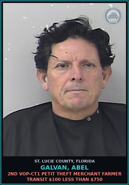 CCW arrest card for Galvan, Abel in St. Lucie County: 2nd Vop-ct1 Petit Theft Merchant Farmer Transit $100 Less Than $750