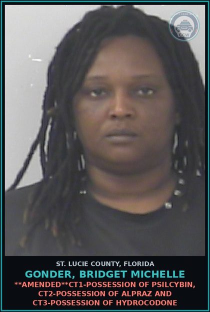CCW arrest card for Gonder, Bridget Michelle in St. Lucie County: **amended**ct1-possession Of Psilcybin, Ct2-possession Of ALPRAZ And Ct3-possession Of Hydrocodone