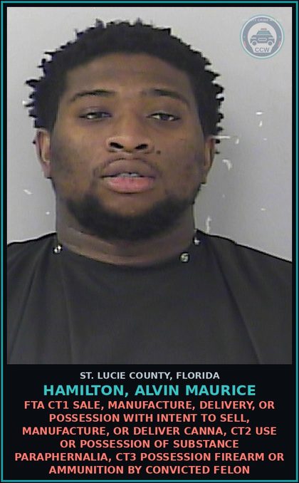 CCW arrest card for Hamilton, Alvin Maurice in St. Lucie County: Fta Ct1 Sale, Manufacture, Delivery, Or Possession With Intent To Sell, Manufacture, Or Deliver Canna, Ct2 Use Or Possession Of Drug Paraphernalia, Ct3 Possession Firearm Or Ammunition By Convicted Felon