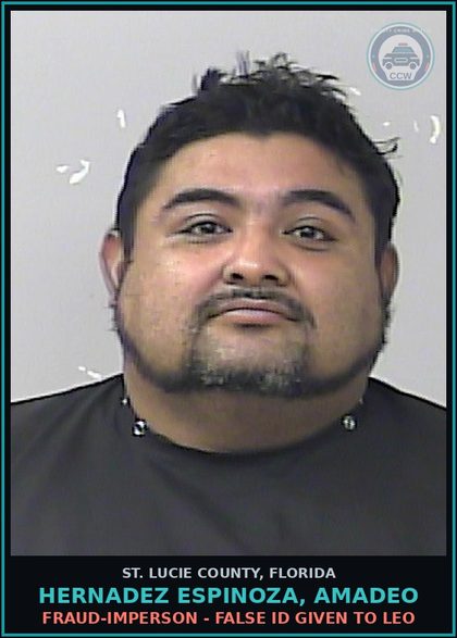 CCW arrest card for Hernadez Espinoza, Amadeo in St. Lucie County: Drugs-possess - contr substance W/o Prescription