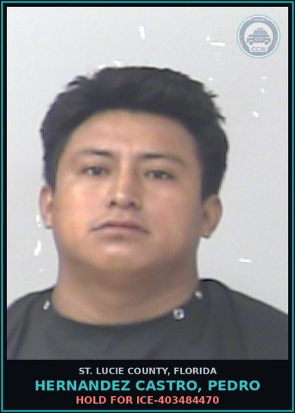 CCW arrest card for Hernandez Castro, Pedro in St. Lucie County: Hold For Ice-403484470