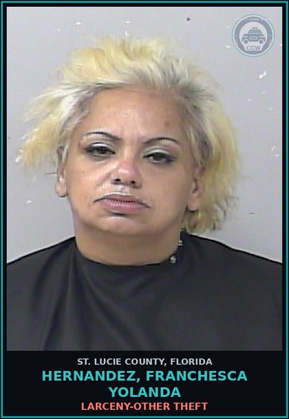 CCW arrest card for Hernandez, Franchesca Yolanda in St. Lucie County: Larceny-other Theft