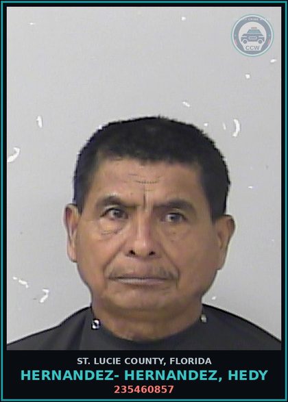 CCW arrest card for Hernandez- Hernandez, Hedy in St. Lucie County: 235460857
