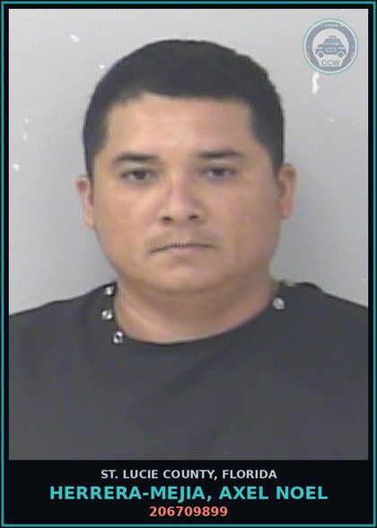 CCW arrest card for Herrera-mejia, Axel Noel in St. Lucie County: 206709899