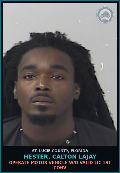 CCW arrest card for Hester, Calton Lajay in St. Lucie County: Operate Motor Vehicle W/o Valid Lic 1st Conv