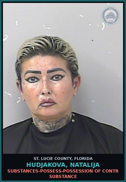 CCW arrest card for Hudjakova, Natalija in St. Lucie County: Larceny-petit Theft Merch Farm Transit 100 Lt 750