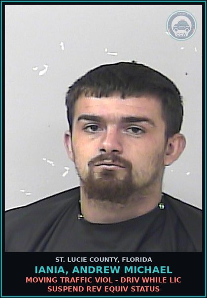CCW arrest card for Iania, Andrew Michael in St. Lucie County: Moving Traffic Viol - Driv While Lic Suspend Rev Equiv Status