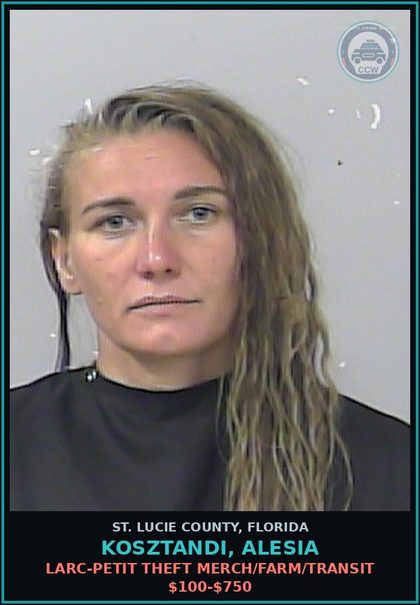 CCW arrest card for Kosztandi, Alesia in St. Lucie County: Larc-petit Theft Merch/farm/transit $100-$750
