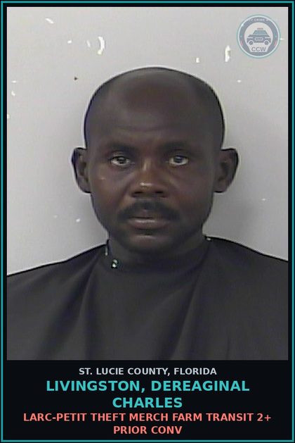 CCW arrest card for Livingston, Dereaginal Charles in St. Lucie County: Larc-petit Theft Merch Farm Transit 2+ Prior Conv