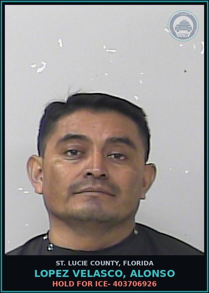 CCW arrest card for Lopez Velasco, Alonso in St. Lucie County: Hold For Ice- 403706926