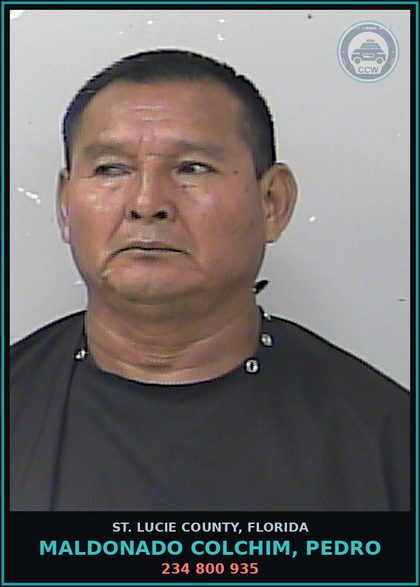 CCW arrest card for Maldonado Colchim, Pedro in St. Lucie County: 234 800 935