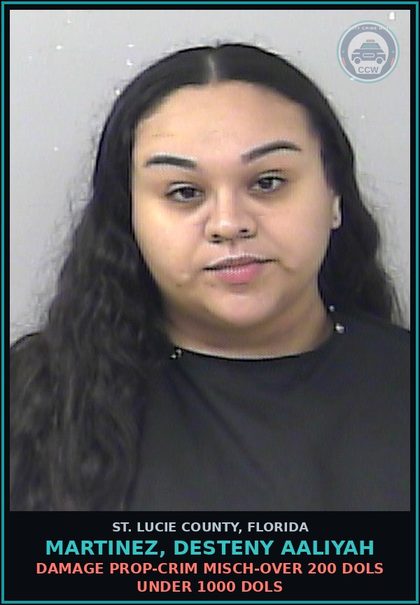 CCW arrest card for Martinez, Desteny Aaliyah in St. Lucie County: Damage Prop-crim Misch-over 200 Dols Under 1000 Dols