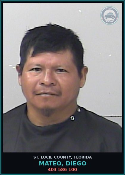 CCW arrest card for Mateo, Diego in St. Lucie County: 403 586 100