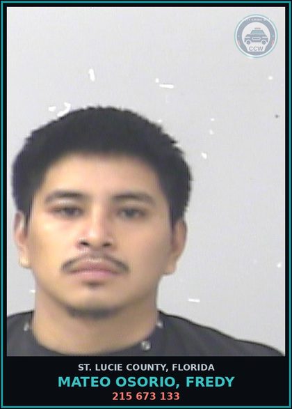 CCW arrest card for Mateo Osorio, Fredy in St. Lucie County: 215 673 133