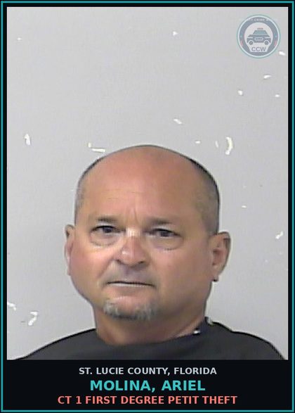 CCW arrest card for Molina, Ariel in St. Lucie County: Ct 1 First Degree Petit Theft