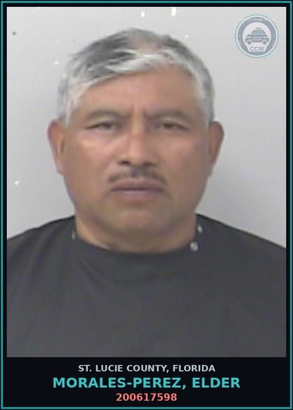 CCW arrest card for Morales-perez, Elder in St. Lucie County: 200617598