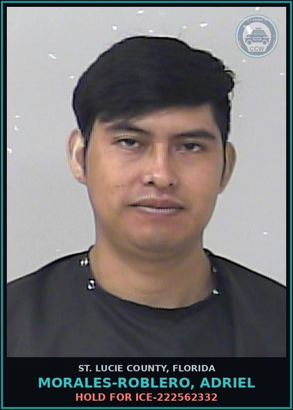 CCW arrest card for Morales-roblero, Adriel in St. Lucie County: Hold For Ice-222562332