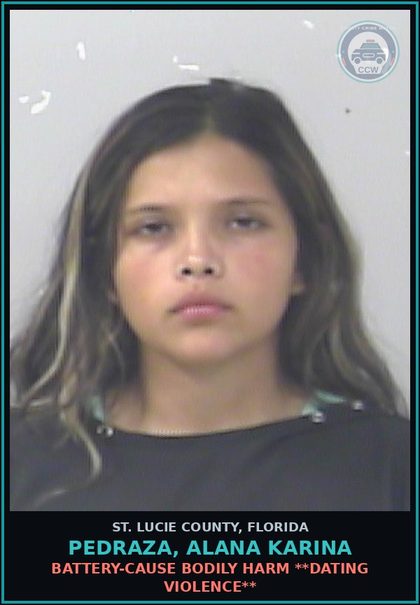 CCW arrest card for Pedraza, Alana Karina in St. Lucie County: Battery-cause Bodily Harm **dating Violence**