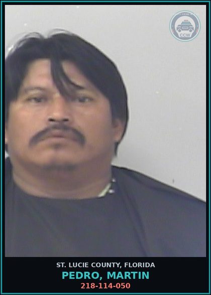 CCW arrest card for Pedro, Martin in St. Lucie County: 218-114-050