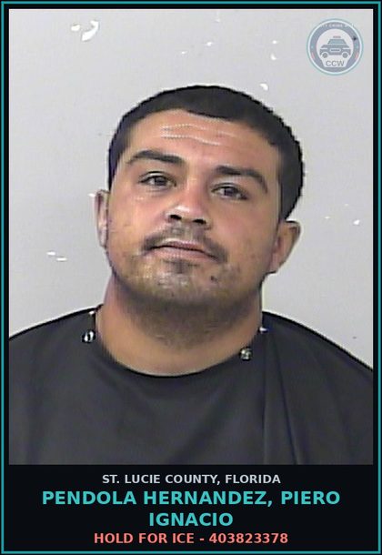 CCW arrest card for Pendola Hernandez, Piero Ignacio in St. Lucie County: Hold For Ice - 403823378