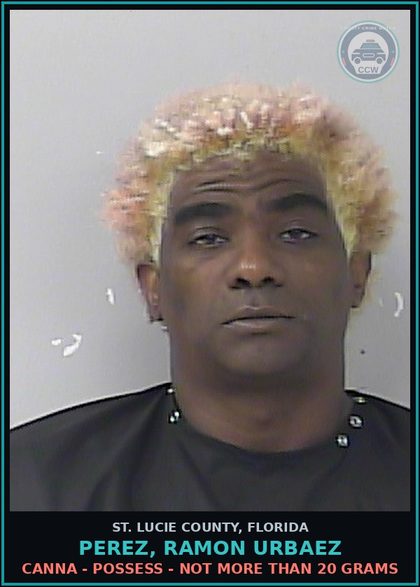 CCW arrest card for Perez, Ramon Urbaez in St. Lucie County: Canna - Possess - Not More Than 20 Grams