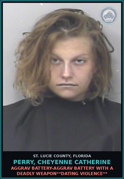 CCW arrest card for Perry, Cheyenne Catherine in St. Lucie County: Aggrav Battery-aggrav Battery With A Deadly Weapon**dating Violence**