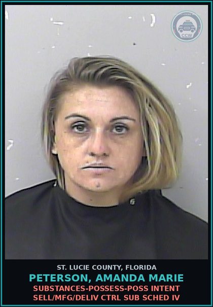 CCW arrest card for Peterson, Amanda Marie in St. Lucie County: Amphetamine-traffic In Meth/amphetamine 14 Grams+