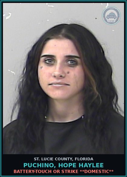 CCW arrest card for Puchino, Hope Haylee in St. Lucie County: Battery-touch Or Strike **domestic**