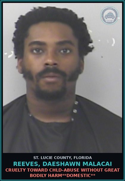 CCW arrest card for Reeves, Daeshawn Malacai in St. Lucie County: Cruelty Toward chld-abuse Without Great Bodily Harm**domestic**