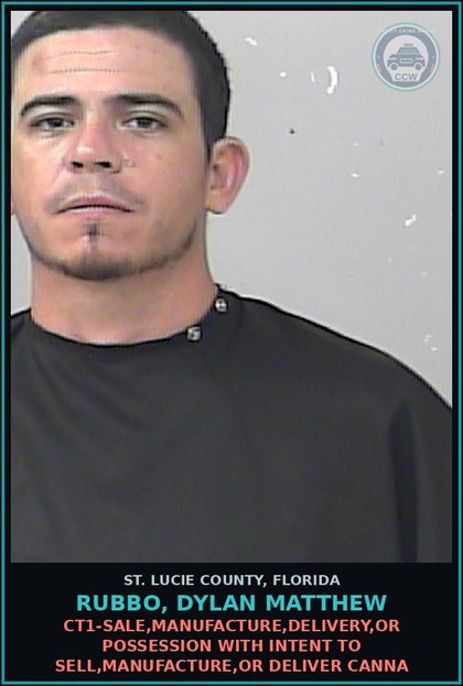 CCW arrest card for Rubbo, Dylan Matthew in St. Lucie County: Ct1-sale,manufacture,delivery,or Possession With Intent To Sell,manufacture,or Deliver Canna