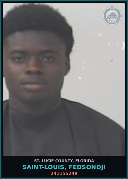 CCW arrest card for Saint-louis, Fedsondji in St. Lucie County: 241155249