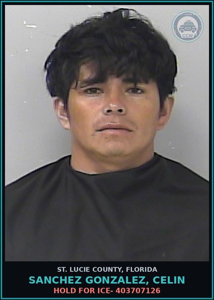 CCW arrest card for Sanchez Gonzalez, Celin in St. Lucie County: Hold For Ice- 403707126