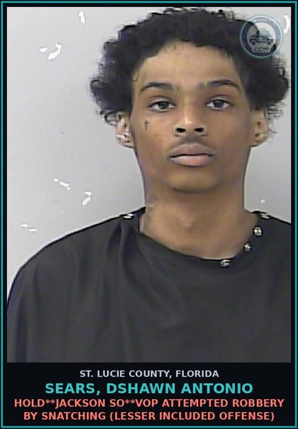 CCW arrest card for Sears, Dshawn Antonio in St. Lucie County: Fta-ct1 First Degree Petit Theft Ct3-possession Of 20 Grams Or Less Of Cananabis**vfosc**