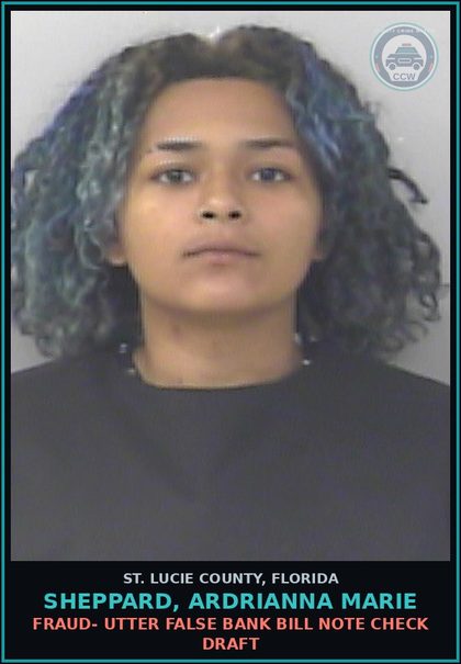 CCW arrest card for Sheppard, Ardrianna Marie in St. Lucie County: Larceny- Other Theft