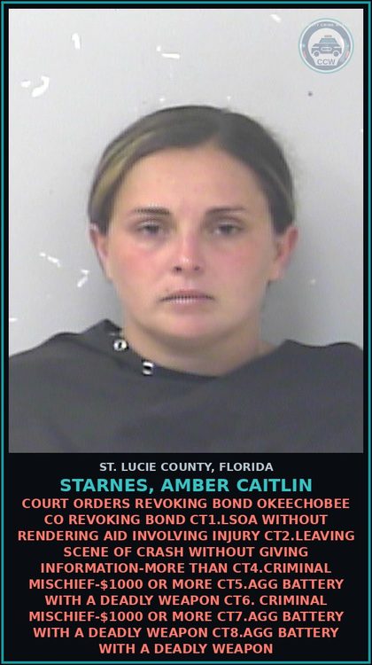 CCW arrest card for Starnes, Amber Caitlin in St. Lucie County: Battery-touch Or Strike**domestic Violence**