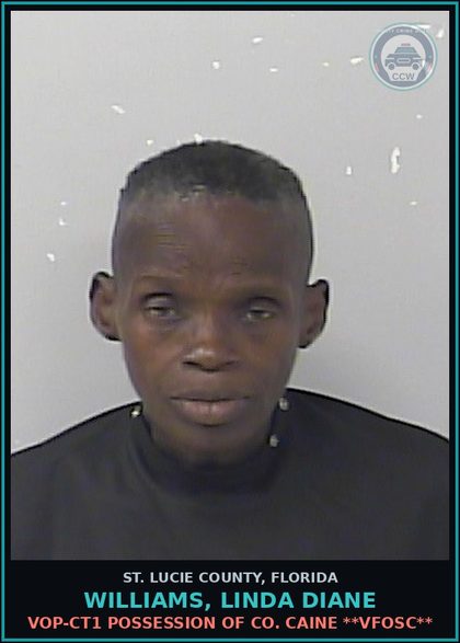 CCW arrest card for Williams, Linda Diane in St. Lucie County: Vop-ct1 Possession Of Cocaine **vfosc**