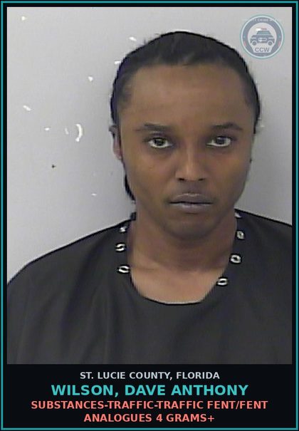 CCW arrest card for Wilson, Dave Anthony in St. Lucie County: Drugs-traffic-traffic Fent/Fent Analogues 4 Grams+
